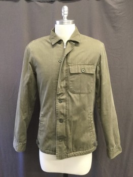 Mens, Casual Jacket, ALL SAINTS, Green, Cotton, Solid, S, Zipper and Button Closure, Patch /flap Pocket Left Chest, Diagonal Hand Pockets, Collar Attached, Yoke