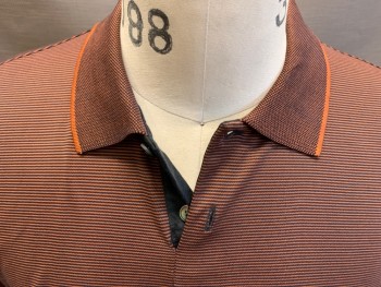 THEORY, Brown, Dk Gray, Cotton, Polyester, Stripes - Horizontal , S/S, Pique Knit Collar