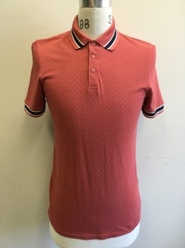 TED BAKER, Dusty Pink, White, Navy Blue, Cotton, Dots, Stripes, Dusty Pink with White Dots, 3 Snaps, Short Sleeves, Ribbed Knit Stripe Collar Attached/Cuff