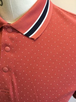 TED BAKER, Dusty Pink, White, Navy Blue, Cotton, Dots, Stripes, Dusty Pink with White Dots, 3 Snaps, Short Sleeves, Ribbed Knit Stripe Collar Attached/Cuff