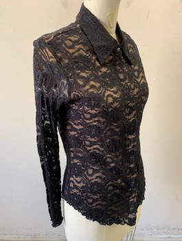 Womens, Blouse, HARLOW, Black, Tan Brown, Nylon, Polyester, Floral, M, Black Lace Over Tan Underlayer, Long Sleeves, Button Front, Collar Attached, Fitted