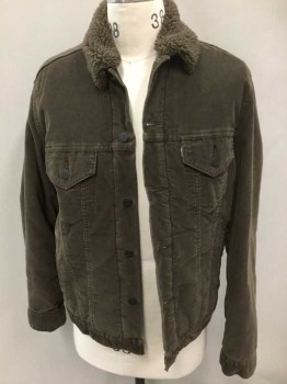 Mens, Casual Jacket, LEVI STRAUSS, Brown, Cotton, Polyester, Solid, M, Corduroy, with Plush Fleece Collar Attached, Button Front, 4 Pockets, Plush Fleece Lining, Button Cuffs