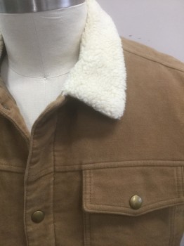 Mens, Casual Jacket, BANANA REPUBLIC, Beige, Cream, Cotton, Polyester, Solid, L, Soft Fabric with Pile, Cream Fleece Collar Attached, Snap Closures at Front, 4 Pockets, Light Brown Quilted Lining