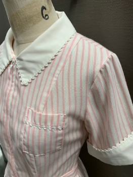 WHITE SWAN, White, Pink, Polyester, Cotton, Stripes - Vertical , Solid, Uniform, C.A., S/S, Solid Collar & Cuffs with Scallopped Edge Trim, Zip Front, 3 Pckts, Hem Above Knee, with Belt
