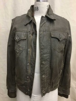 Mens, Casual Jacket, LEVI, Gray, Olive Green, Cotton, Solid, S, Nicely Aged/Distressed,  Snap/ Zip Front, Front and Back Yoke, 4 Pockets, Collar Attached, Rib Knit Collar and Cuffs, Back Vent Jean Jacket Cut. Olive Flannel Lining