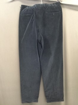 Mens, Casual Pants, ERMENEGILDO ZEGNA, Navy Blue, Cotton, Solid, 32/33, Corduroy, Pleated Front, Cuffed