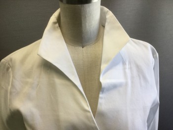 N/L, White, Cotton, Solid, Button Front, Long Sleeves, Stand Collar, 1 Button Cuffs, Oxford Cloth, Princess Seams