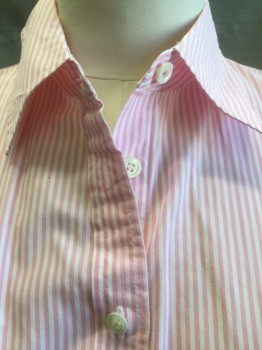 JCREW, White, Pink, Cotton, Stripes, Collar Attached, Button Front, Long Sleeves,