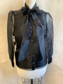 Womens, Blouse, BABATON, Black, Polyester, L, Sheer, Neck Tie Attached, Button Front, Long Sleeves