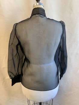Womens, Blouse, BABATON, Black, Polyester, L, Sheer, Neck Tie Attached, Button Front, Long Sleeves