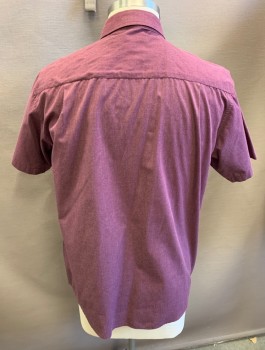 BEVERLY HILLS POLO , Dusty Purple, Cotton, Polyester, Solid, Short Sleeves, Button Front, Collar Attached, 1 Patch Pocket
