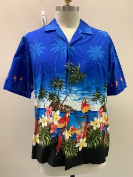 PACIFIC LEGEND, Blue, Lt Blue, Dk Green, Red, Black, Cotton, Hawaiian Print, S/S, Button Front, Collar Attached, Chest Pocket