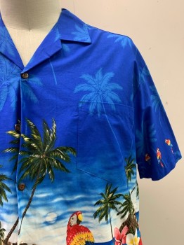 PACIFIC LEGEND, Blue, Lt Blue, Dk Green, Red, Black, Cotton, Hawaiian Print, S/S, Button Front, Collar Attached, Chest Pocket