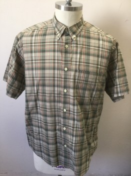 CARIBOU CREEK, Taupe, Sage Green, Burnt Orange, Poly/Cotton, Plaid, Short Sleeve Button Front, Collar Attached, Button Down Collar, 1 Patch Pocket