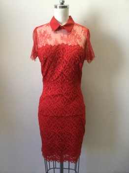 Womens, Dress, Short Sleeve, SANDRO, Red, Synthetic, Lycra, Novelty Pattern, S, Red Stretch Lace Dress, Short Sleeves, with Solid Red Collar. Gold Zipper Center Back,
