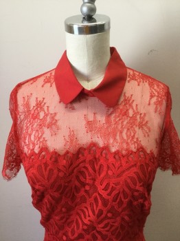 Womens, Dress, Short Sleeve, SANDRO, Red, Synthetic, Lycra, Novelty Pattern, S, Red Stretch Lace Dress, Short Sleeves, with Solid Red Collar. Gold Zipper Center Back,