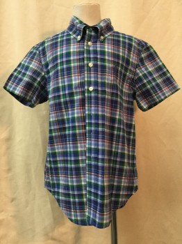 RALPH LAUREN, French Blue, White, Blue, Red, Green, Cotton, Plaid, French Blue/ White/ Blue/ Red/ Green Plaid, Button Front, Button Down Collar, Short Sleeves,