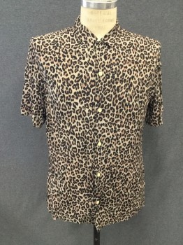 ALFANI, Lt Brown, Brown, Black, Viscose, Animal Print, Button Front, Collar Attached, Short Sleeves