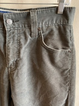 LEVI'S, Dk Gray, Cotton, Polyester, Solid, Zip Fly, 5 Pockets, Belt Loops, Corduroy