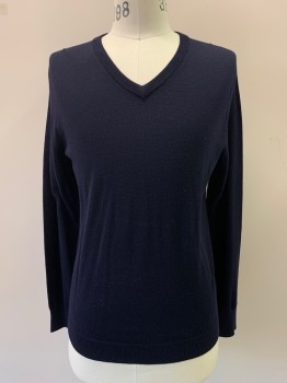 Mens, Pullover Sweater, J CREW, Navy Blue, Wool, Solid, M, L/S, V Neck