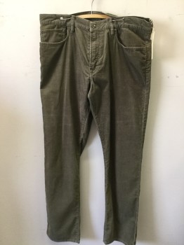 GAP, Olive Green, Cotton, Solid, 5 Pockets, Corduroy,