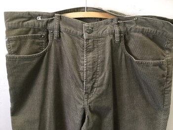Mens, Casual Pants, GAP, Olive Green, Cotton, Solid, 34, 36, 5 Pockets, Corduroy,