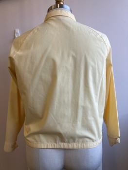 Mens, Jacket, BAY HILL, Ch: 44, Lt Yellow, Solid, C.A., Zip Front, L/S, 2 Pockets