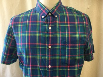 PENQUIN, Turquoise Blue, Aqua Blue, Hot Pink, Lime Green, Cotton, Plaid, Short Sleeves, Button Down Collar, 1 Pocket, Button Front,