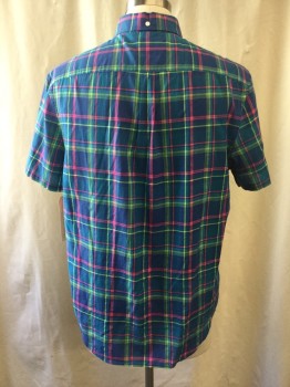 PENQUIN, Turquoise Blue, Aqua Blue, Hot Pink, Lime Green, Cotton, Plaid, Short Sleeves, Button Down Collar, 1 Pocket, Button Front,