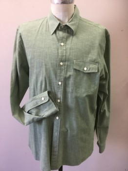 RRL, Sage Green, Cotton, Solid, Button Front, Long Sleeves, Collar Attached, 1 Pocket with Flap, Real Pearl Buttons