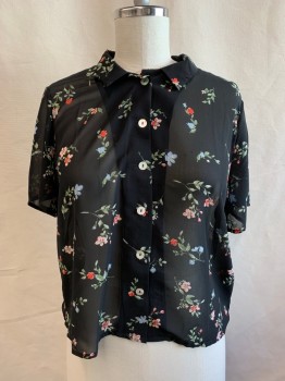 Womens, Blouse, H&M, Black, Green, Coral Orange, Baby Blue, Lt Peach, Polyester, Floral, L, Collar Attached, Button Front, Short Sleeves, Sheer