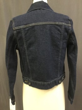 Womens, Jean Jacket, UNIQLO, Indigo Blue, Tan Brown, Cotton, Solid, XS, Little Cropped, Little Stretch, Traditional Style