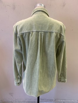 URBAN OUTFITTERS, Sea Foam Green, Cotton, Solid, L/S, Button Front, Corduroy, Chest Pocket