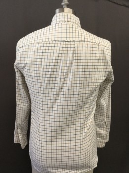 J CREW, White, Tan Brown, Navy Blue, Cotton, Plaid - Tattersall, Button Down Collar, Long Sleeves, Button Front,