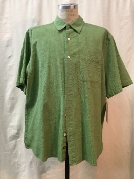 TERRITORY AHEAD, Green, Cotton, Solid, Green, Button Front, Collar Attached, 1 Pocket, Short Sleeves,