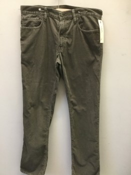 Mens, Casual Pants, GAP, Gray, Cotton, Solid, 32, 33, Gap 1969, 5 + Pockets, Corduroy
