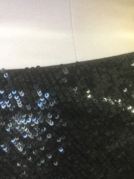 Womens, Skirt, Mini, HAUTE HIPPIE, Iridescent Black, Sequins, Silk, Solid, M, Covered in Small Black Sequins, Base Layer is Black Sheer Crepe, Invisible Zipper at Side