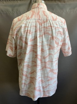 Mens, Casual Shirt, AVANTI, Lt Pink, White, Cotton, Print, 2XL, S/S, Button Front, Collar attached, Chest Pocket